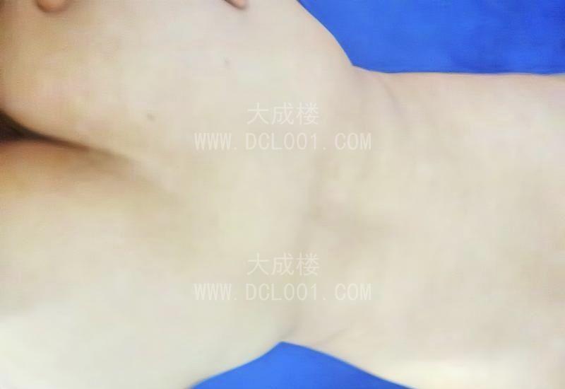 白云骚妇百合花