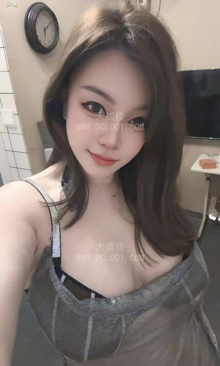 宝安大白奶小肥猫